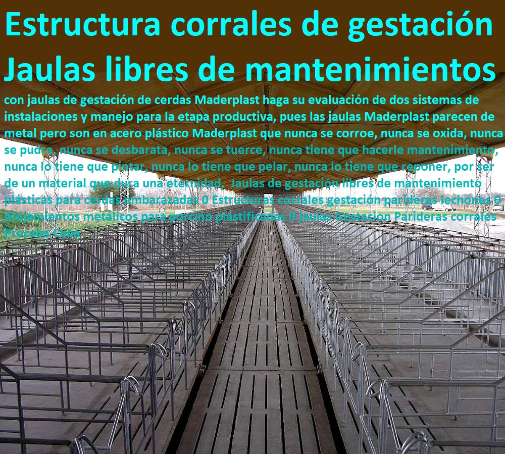 Jaulas de gestación libres de mantenimiento plásticas para cerdas embarazadas 0 Estructuras corrales gestación parideras lechones 0 Alojamientos metálicos para porcino plastificadas 0 jaulas Gestacion Parideras corrales Preceba Ceba Jaulas de gestación libres de mantenimiento plásticas para cerdas embarazadas 0 porcicultura jaulas, corrales, parideras, porcinas corral, gestación cerdas, parto cerda, lechonera, destete, jaula pre ceba porcinos, corraleja, ceba, engorde cerdos, porqueriza cría de lechones, pisos jaulas comederos, Estructuras corrales gestación parideras lechones 0 Alojamientos metálicos para porcino plastificadas 0 jaulas Gestacion Parideras corrales Preceba Ceba